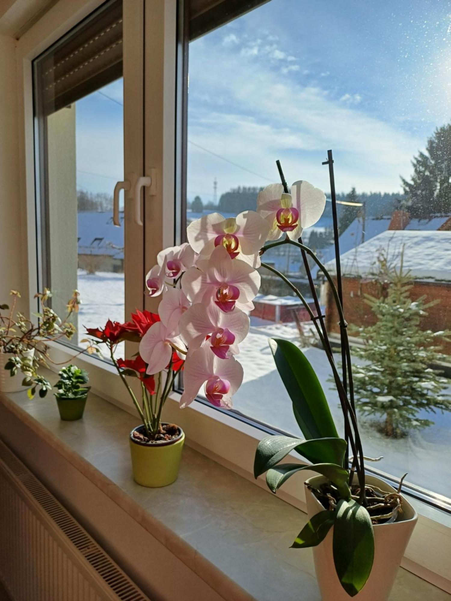 Thueringer Zimmer Зул Екстериор снимка